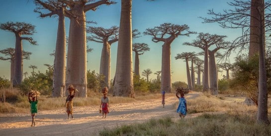 Séjour à Madagascar : 20 lieux à voir pour un beau voyage