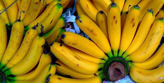 AVC : Une banane par jour peut réduire le risque