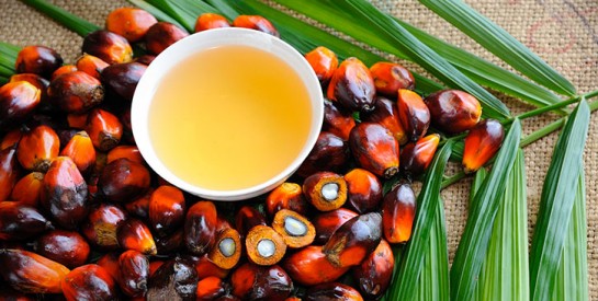 L`huile de palme est-elle mauvaise pour la santé ?
