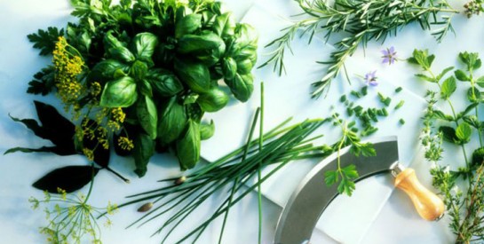 Basilic, menthe, persil… 7 herbes fraîches pour quel bienfait ?