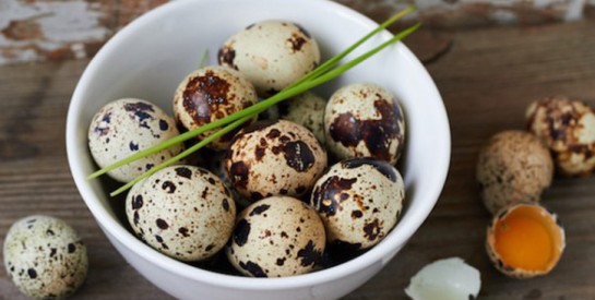 Les œufs de caille : les vertus insoupçonnées sur la santé