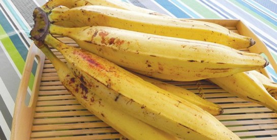 Voici comment bien conserver la banane plantain