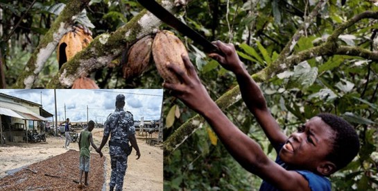 En Côte d’Ivoire, la difficile lutte contre le travail des enfants dans le cacao