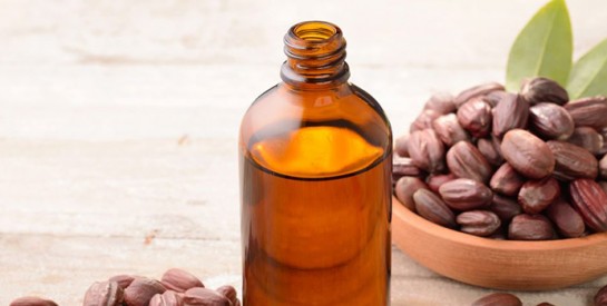 Profitez des bienfaits de l’huile de jojoba en l’ajoutant à votre routine