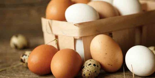 Y a-t-il un lien entre la consommation d'œufs et les maladies cardiaques ?