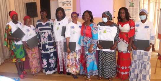 Côte D'Ivoire : Une campagne de sensibilisation et de formation des femmes préconisée pour mieux leur faire connaître leurs droits