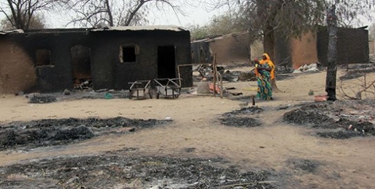 Nigeria : des centaines de personnes tuées dans le «massacre le plus meurtrier» de l'histoire de Boko Haram