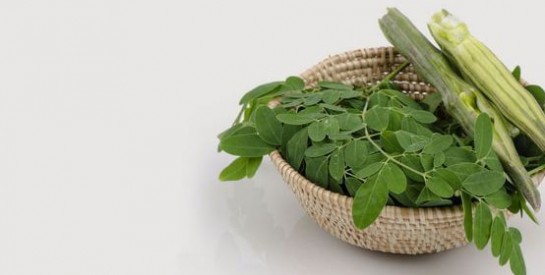 L`huile de moringa pour des cheveux sains