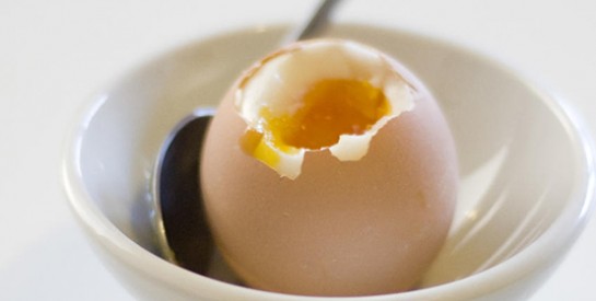 Manger des oeufs à la coque est-il sans danger?