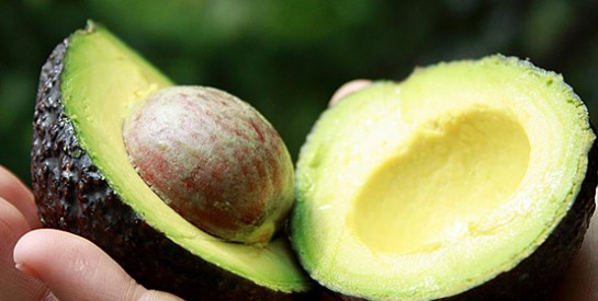 L`avocat  : un fruit vivement conseillé aux enfants et adolescents