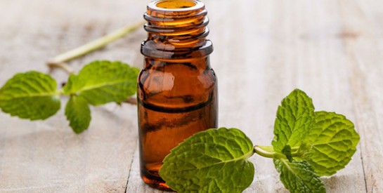 L`huile essentielle de menthe poivrée, un remède idéal contre les maux de ventre