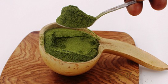 Recette de masque purifiant pour le visage à base de moringa