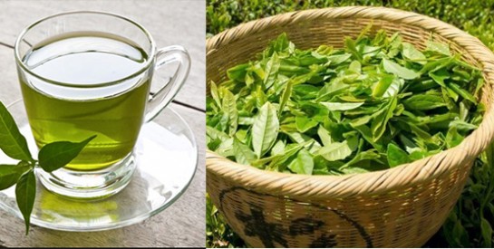 Le thé vert pour lutter contre la chute de cheveux