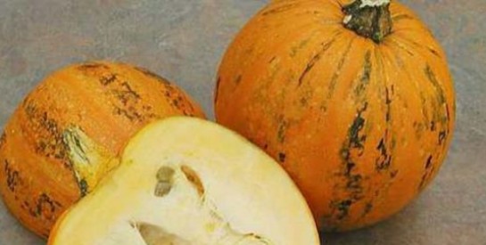 8 raisons de consommer des graines de citrouille