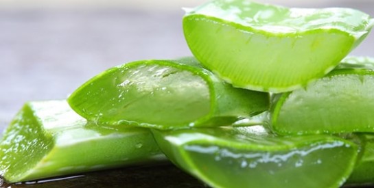 L’Aloe Vera, pour apaiser les démangeaisons vaginales