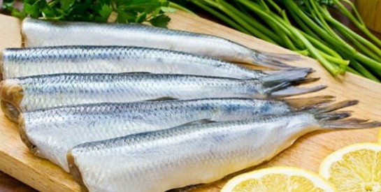 Le poisson : un aliment très bénéfique pour les cheveux