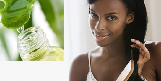 Cheveux abimés: voici une solution miracle avec l`aloe vera