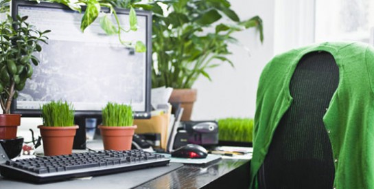 Avoir des plantes au bureau permet de rester en bonne santé et de réduire le stress