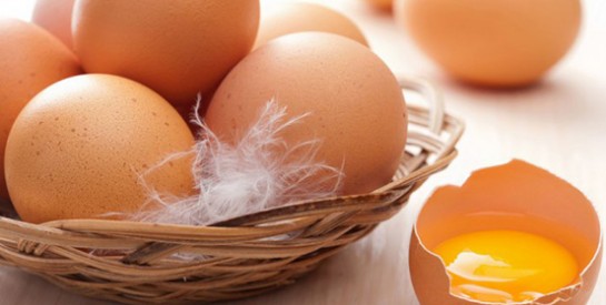 Les œufs: un aliment souvent sous-estimé