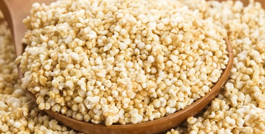 Le millet : ces petits grains à inclure dans notre alimentation
