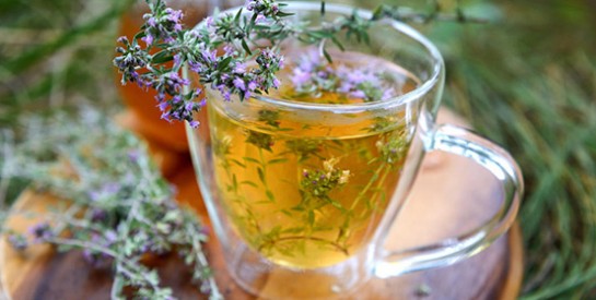 Le thym en infusion ou en tisane : un remède miracle !