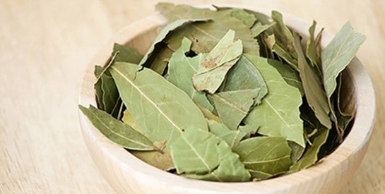 Brûlez les feuilles de laurier dans votre maison pour libérer les tensions et réduire le niveau de stress