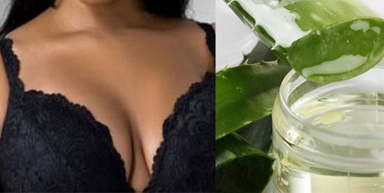 L`aloe vera contre le relâchement ou l`affaissement des seins: comment ça marche?