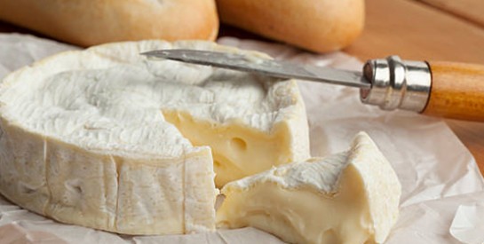 Comment choisir un bon camembert ?