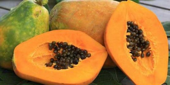 Les graines de papaye pour stimuler la croissance des cheveux et traiter les pellicules