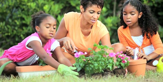 8 bonnes raisons de créer un potager dans son jardin