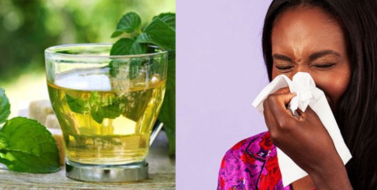 Un remède à la menthe pour soulager et apaiser les problèmes respiratoires