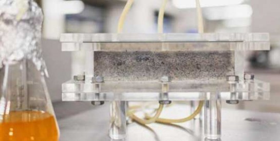 Des étudiants fabriquent des briques à base d`urine
