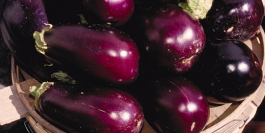 Débarrassez-vous de la graisse abdominale grâce à l’eau d’aubergine!