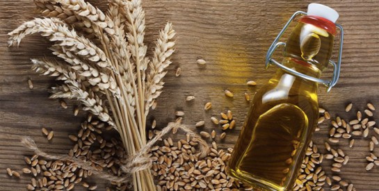 L`huile de germe de blé, un anti-âge naturel pour la peau