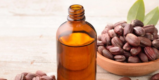 Huile de Jojoba : un vrai trésor pour nos cheveux