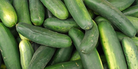 Le concombre, un légume qui nettoie et embellit la peau