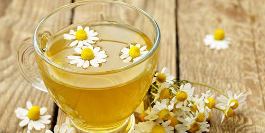 La camomille pour soulager les règles douloureuses