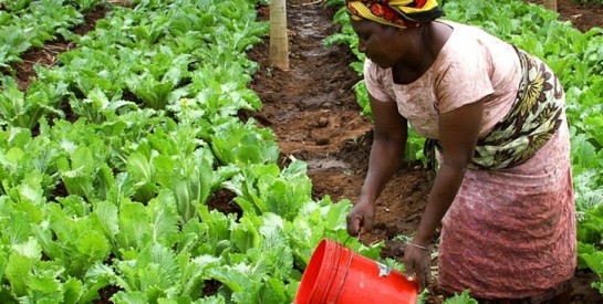 61,8 millions $ pour financer 40 000 PME dirigées par des femmes en Afrique