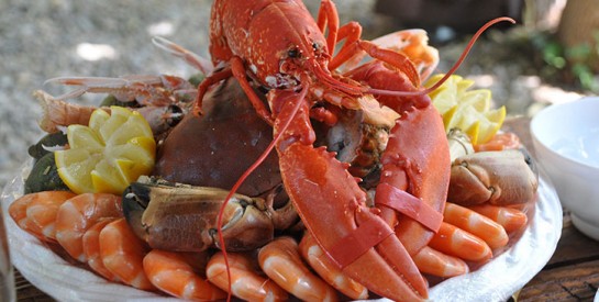 Allergie alimentaire : attention aux fruits de mer