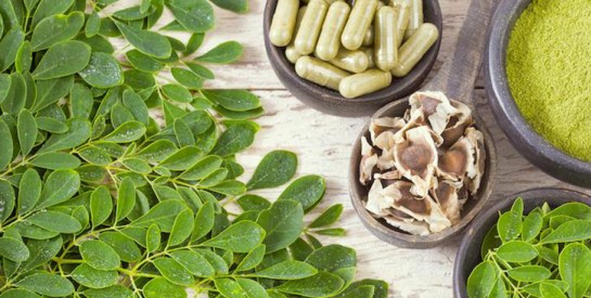 Les graines de Moringa pour purifier l’eau contaminée
