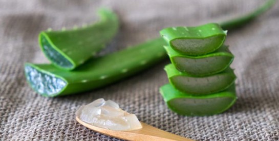 L`aloe vera pour lutter contre la sécheresse et apaiser les démangeaisons vaginales et vulvaires