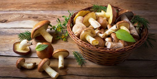 5 bonnes raisons de mettre du champignon à vos menus