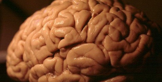 Une Chinoise découvre à 24 ans qu'il lui manque un bout de cerveau