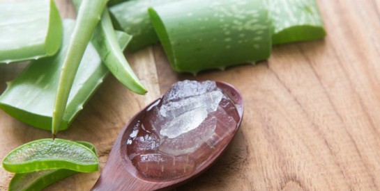 Comment utiliser l`aloe vera pour traiter vos cheveux ?