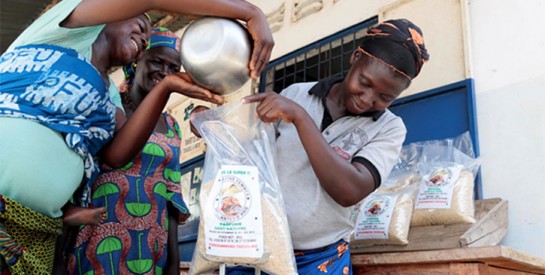 Au Togo, une coopérative d’agricultrices lance avec succès un riz 100 % qualité supérieure