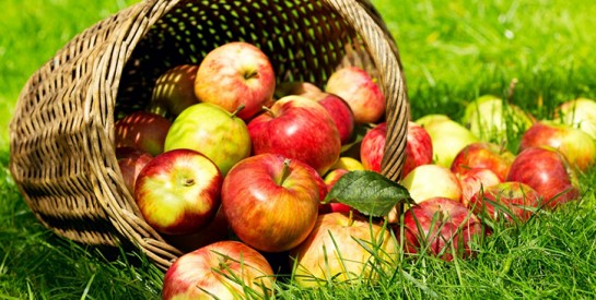 Trop de cholestérol ? Passez à 2 pommes par jour