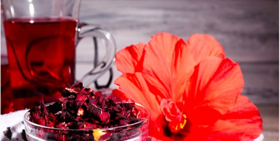 L’huile d’Hibiscus : nourrissante et régénérante pour la peau