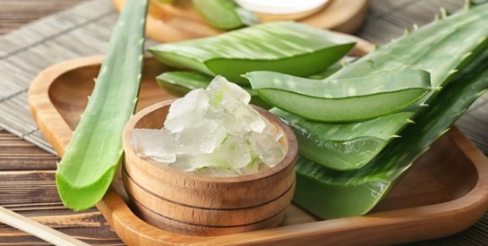 L`aloe vera pour traiter la chute de cheveux