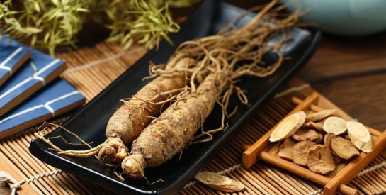 Le ginseng. la racine pour booster votre système immunitaire