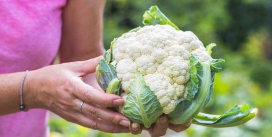 7 bienfaits du chou-fleur pour la santé